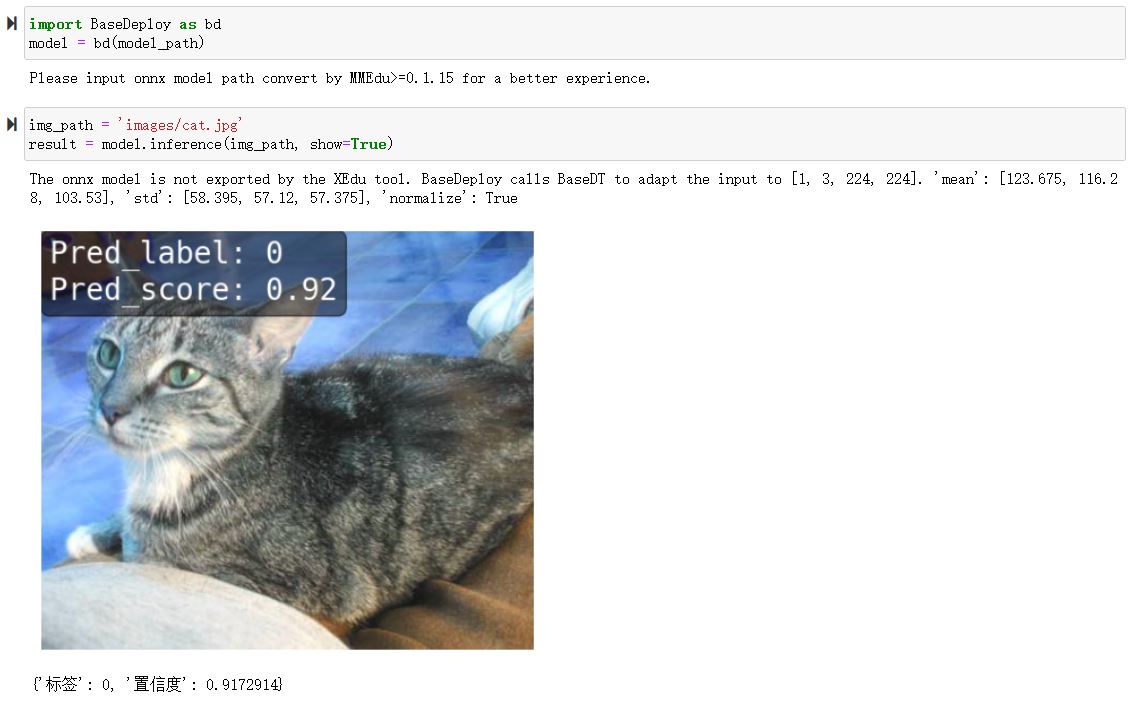 ../_images/ONNX_cls.JPG