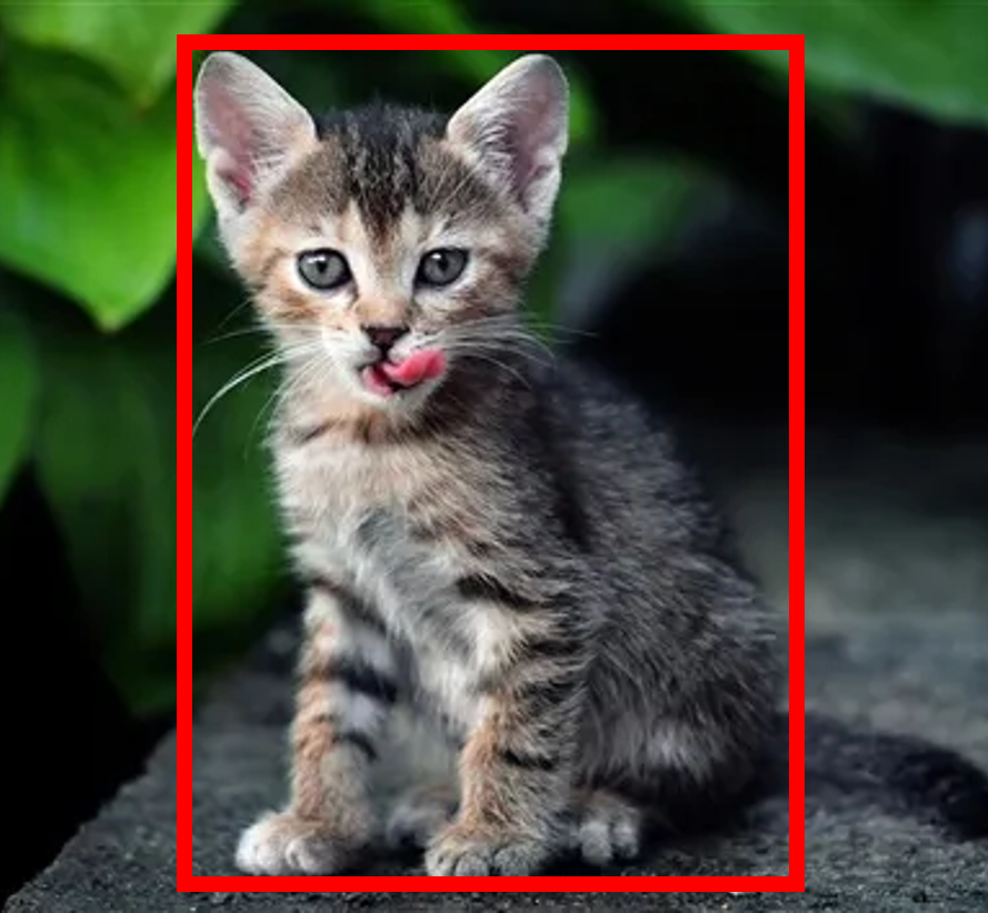 ../_images/SingleTargetDetection.png