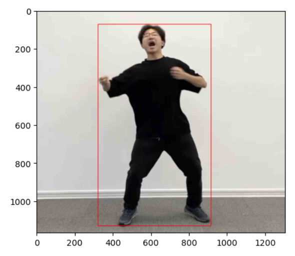 ../_images/det_body_show.png