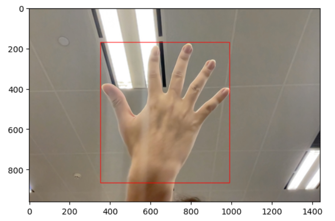 ../_images/det_hand_show.png