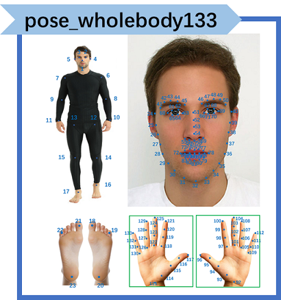 ../_images/wholebody.png